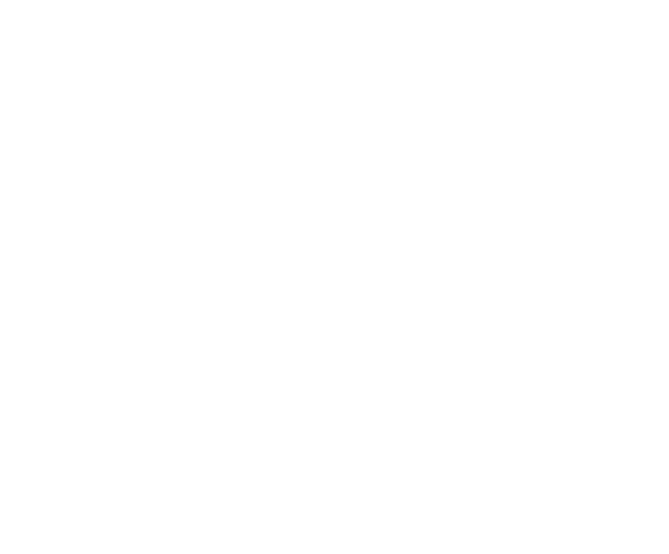 Anti Fund